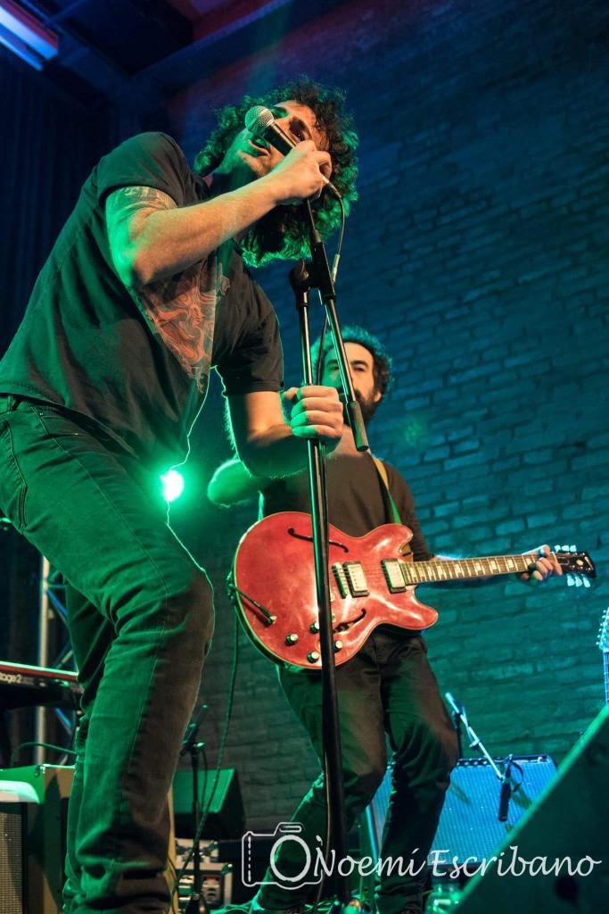 Alice Hubers tweet media