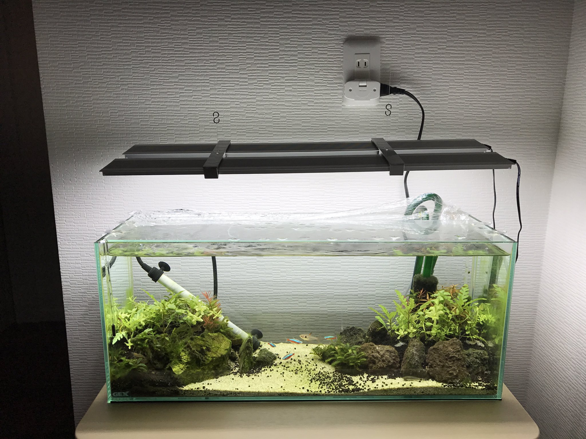 ダフジ 自作キットでアクアスカイ吊り下げ完了 T Co Dg7v3fzhqk Twitter
