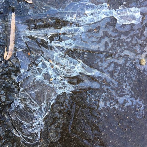toxicnaturestud's tweet photo. "F Is For Frozen" 
1/3/17 
#lloydharborny https://t.co/Gk6Sisq6eF