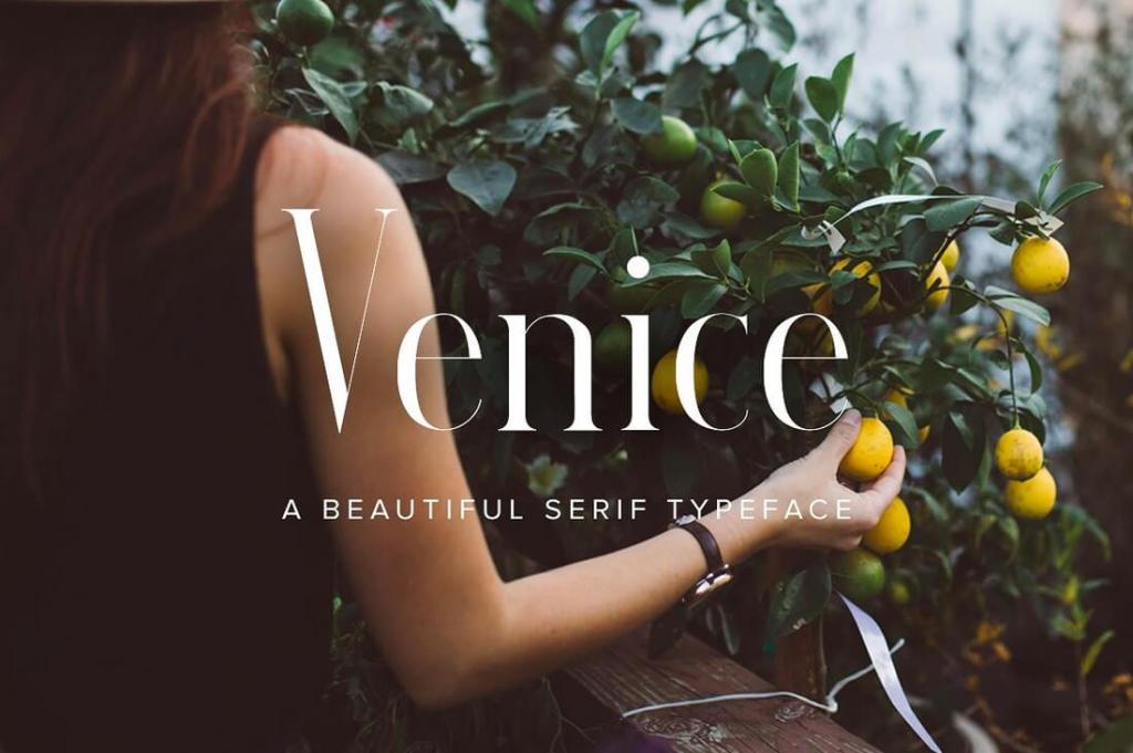100+ Beautiful, Modern Serif Fonts uxinmalaysia.com/2017/01/12/100…