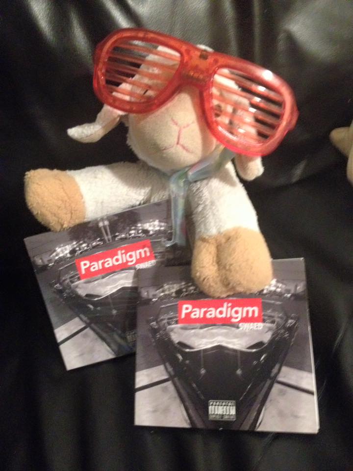 rory_sheep's tweet image. I'll party however I choose. You can't judge a sheep! #Swaed #Paradigm #Baaa