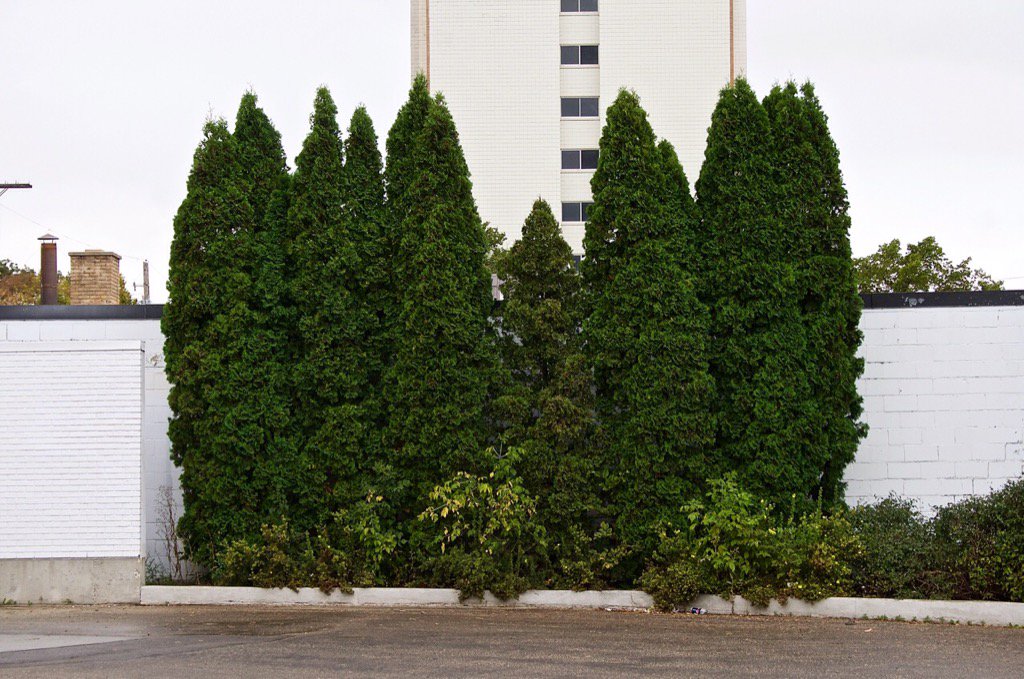 anonymousbart's tweet image. untitled, 2009
Digital colour print
#winnipeg #mb #wpg #winnipegart #phototography #photo #art #Canadianart