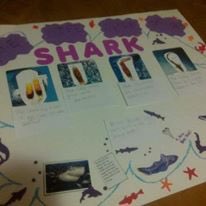 CIncluded's tweet image. Cycles😍