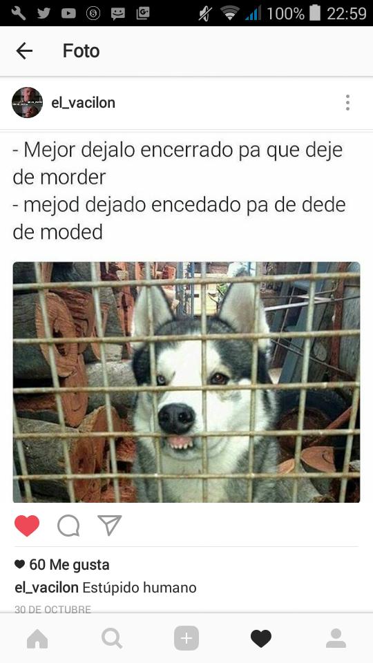 andres8a2001's tweet photo. 😂😂👌… https://t.co/q0jOKybXjj