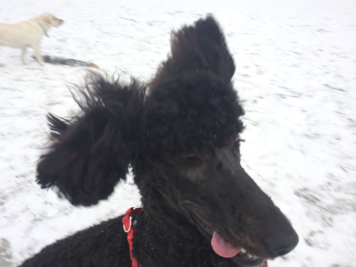 Joseph Kunkel tweet media