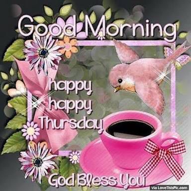 ASuryvansh's tweet photo. @TweetQueeen @nehabhabhi good morning https://t.co/mFJAqS0nYk