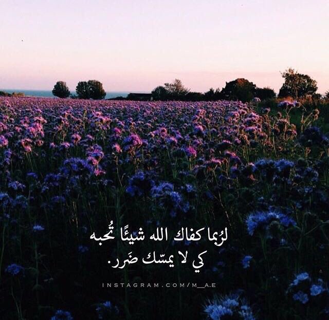 🌿 الأنثى : في البداية تخاف أن تقترب منك ،
 وفي النهاية تبكي حين تبتعد عنها . قليل من يفهمها .🌿

#خالد_السقياني_للدعم