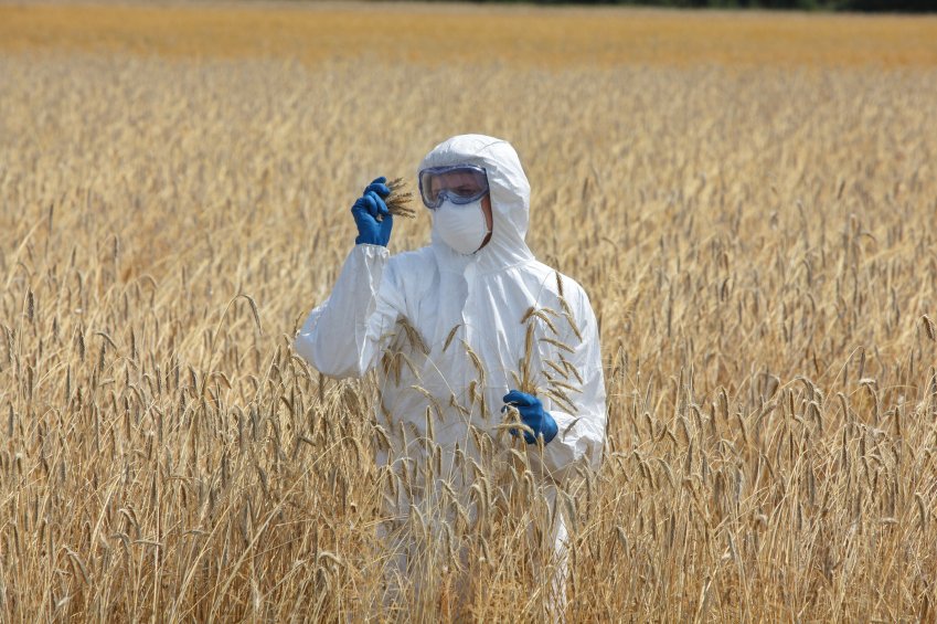 FeedNavigator's tweet image. Lots of unknowns around masked and emerging mycotoxins bit.ly/2jmCvAa