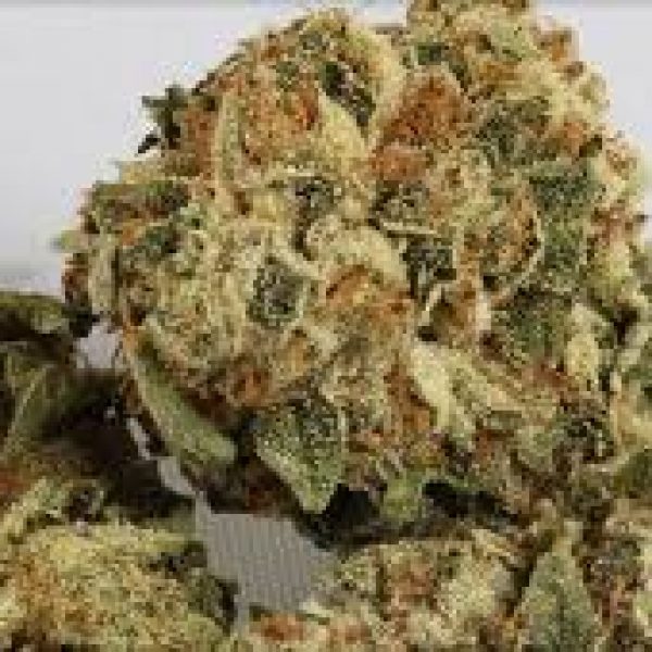 budsonwheelsoc's tweet photo. 1st Generation OG #Kush, #medicalMarijuana, #cannabis, #medicalcannabis, #marijuana, #hybrid. Call 855-888-2837 or https://t.co/deHZbbTSNB . https://t.co/KNo3pIVCAk