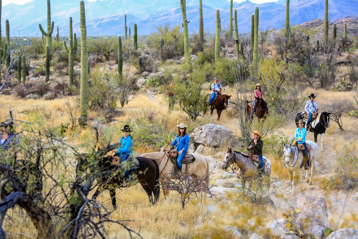 DoetsReizen's tweet photo. Tijdens jouw autorondreis door Zuidwest Amerika is het verblijf op een ranch in Tucson, AZ een absolute must-do! https://t.co/LaBCvowcuf https://t.co/Y0BROJRw5X