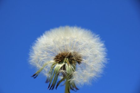 Divorce Day - Myth or reality? - Paradigm Family Law paradigm-family-law.leapwp.co.uk/divorce-day-my…