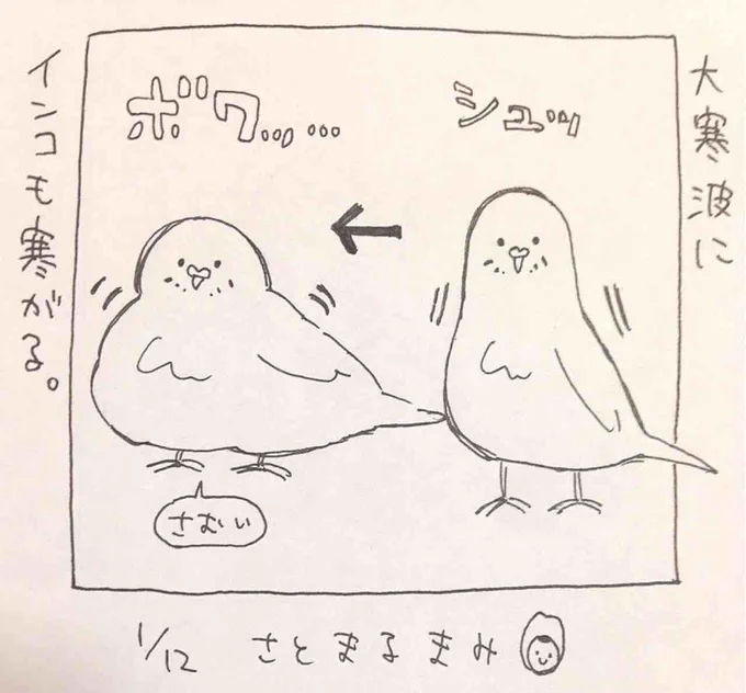 3日に1つぶ 