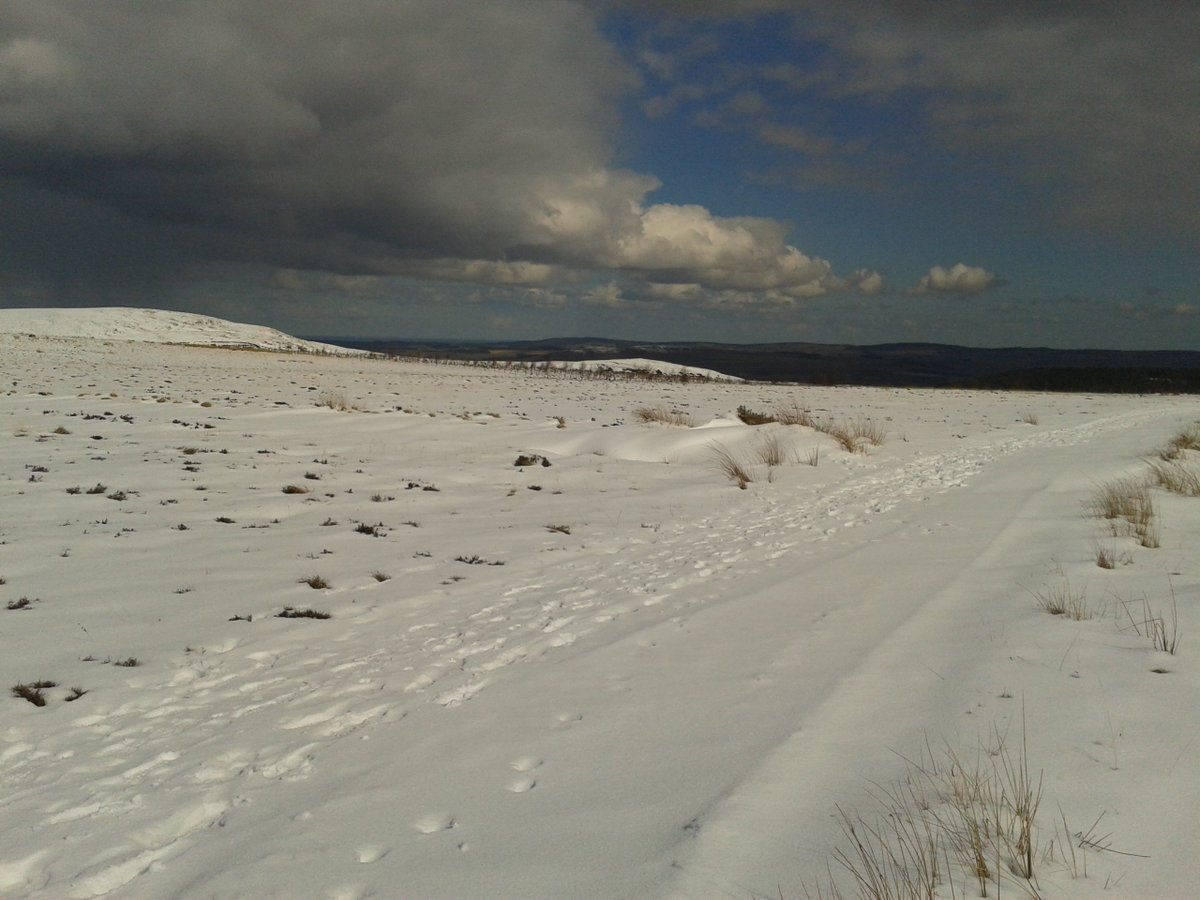 Have you got #snow? Share your pics of riding in the snow #getoutandgravel #justride #truegrit.