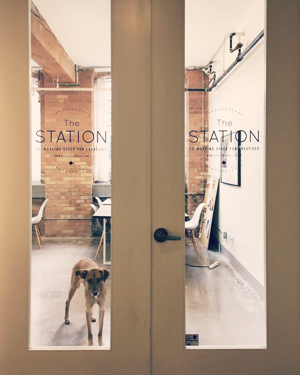 bygoodgorilla's tweet image. Need an ear to listen to your #clientpitch? #officedog Butterscotch is waiting for you...