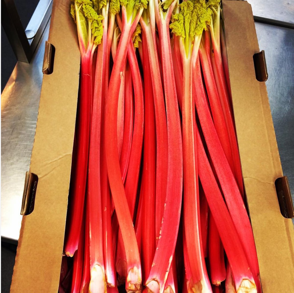 Head chef @paulwelburn is excited; it’s time again! Food of the gods! #yorkshirerhubarb #yorkshirefood #GodsOwnCounty