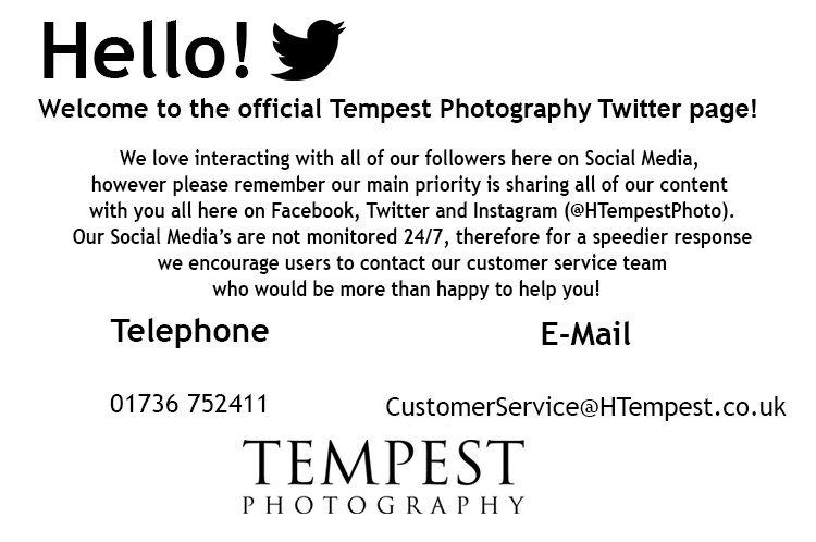 HTempestPhoto's tweet photo. Welcome! https://t.co/xWxeaTtUzx