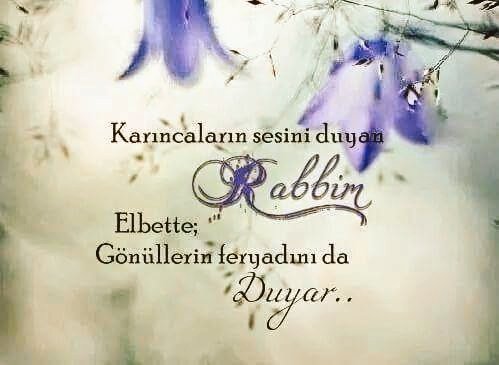 Bayburt69 (@lutfiye_asci) on Twitter photo 