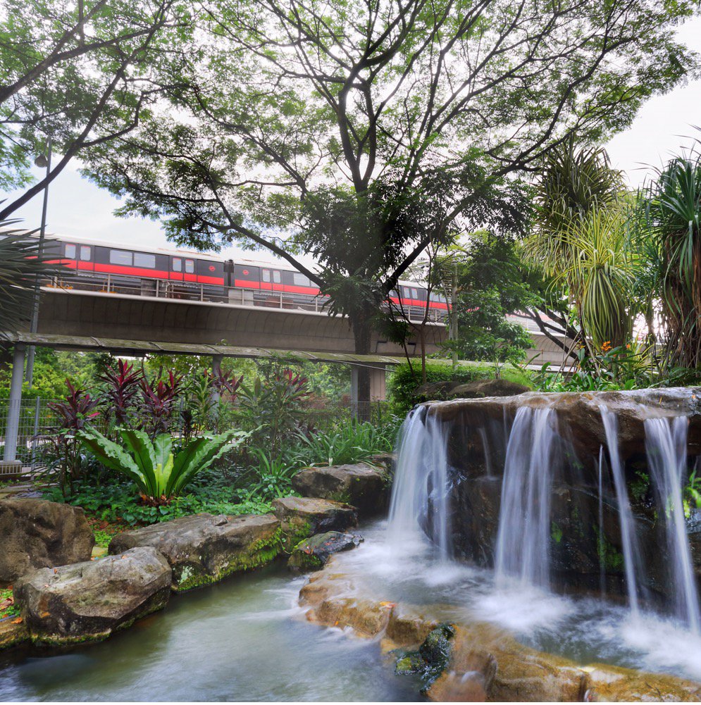 SingaporePoly's tweet photo. More reasons to join us? Easy 🚝 ✅ Awesome 🌱🌿 to rest ur 👀 after hrs of project work ✅ Find these &amp; more @ SP! #speye https://t.co/p2AGEyjMOr