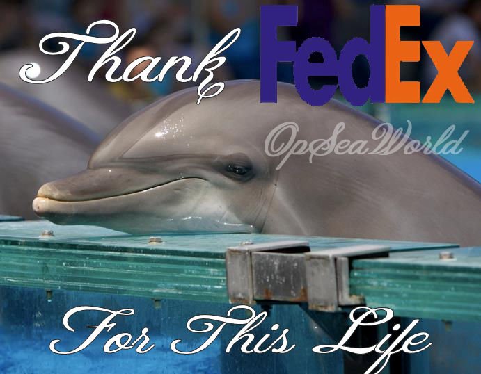 thank @FedEx for this life.  No transport NO SALE. Leave them in the ocean  #OpSeaWorld