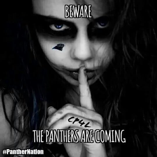75edition's tweet photo. @Panthers #PantherNation #KeepPounding #PantherFam #CP4L https://t.co/R4erQKmYFn
