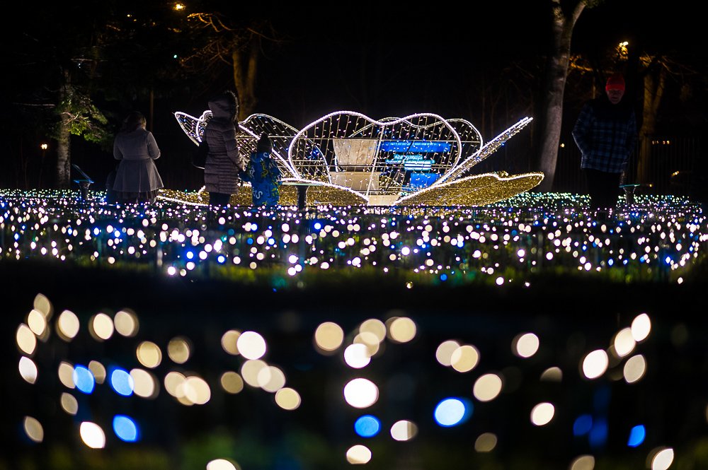 Paweł Budziński tweet media