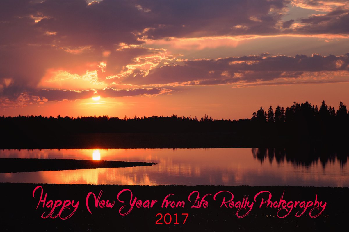 LifeReally's tweet image. 