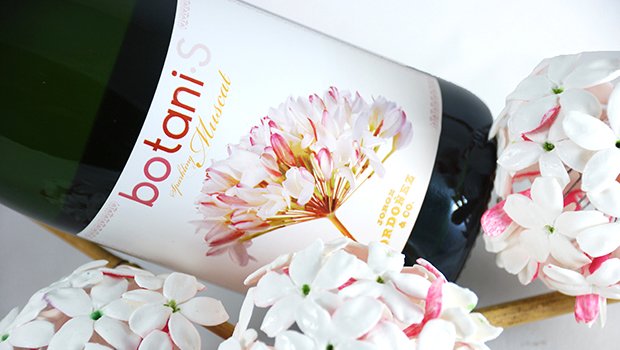 inossidable's tweet photo. Despide el año brindando con #Botani espumoso de @GrupoJOrdonez 
Un vino malagueño entre los mejores del mundo #salud y #Feliz2017 https://t.co/RkA1QQTKOL