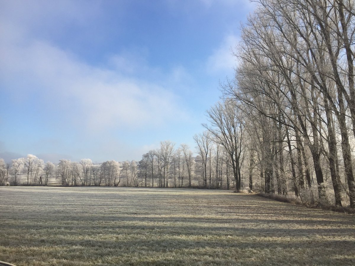 smallballs.eth (@smallb4lls) on Twitter photo <a href="/DriaPala/">Dria ❀</a> und ich wünschen euch einen guten Rutsch aus dem sonnigen Süden Deutschlands! Kommt gut raus! <a href="/DriaPala/">Dria ❀</a> und ich wünschen euch einen guten Rutsch aus dem sonnigen Süden Deutschlands! Kommt gut raus!