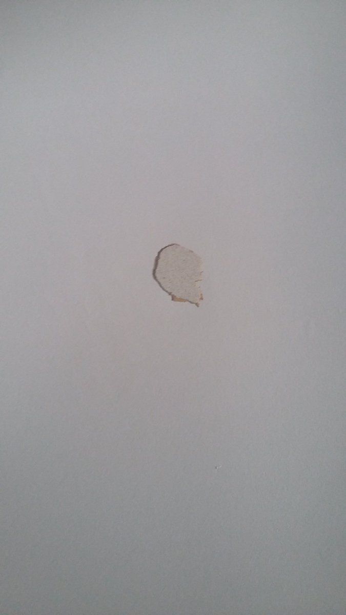 Sam Platten (@dorsetsam) on Twitter photo So not impressed! <a href="/3M_UK/">Mustafa fisal</a> - so those command strips won't mark our wall? Newly plastered. Ruined.#epicfail So not impressed! <a href="/3M_UK/">Mustafa fisal</a> - so those command strips won't mark our wall? Newly plastered. Ruined.#epicfail