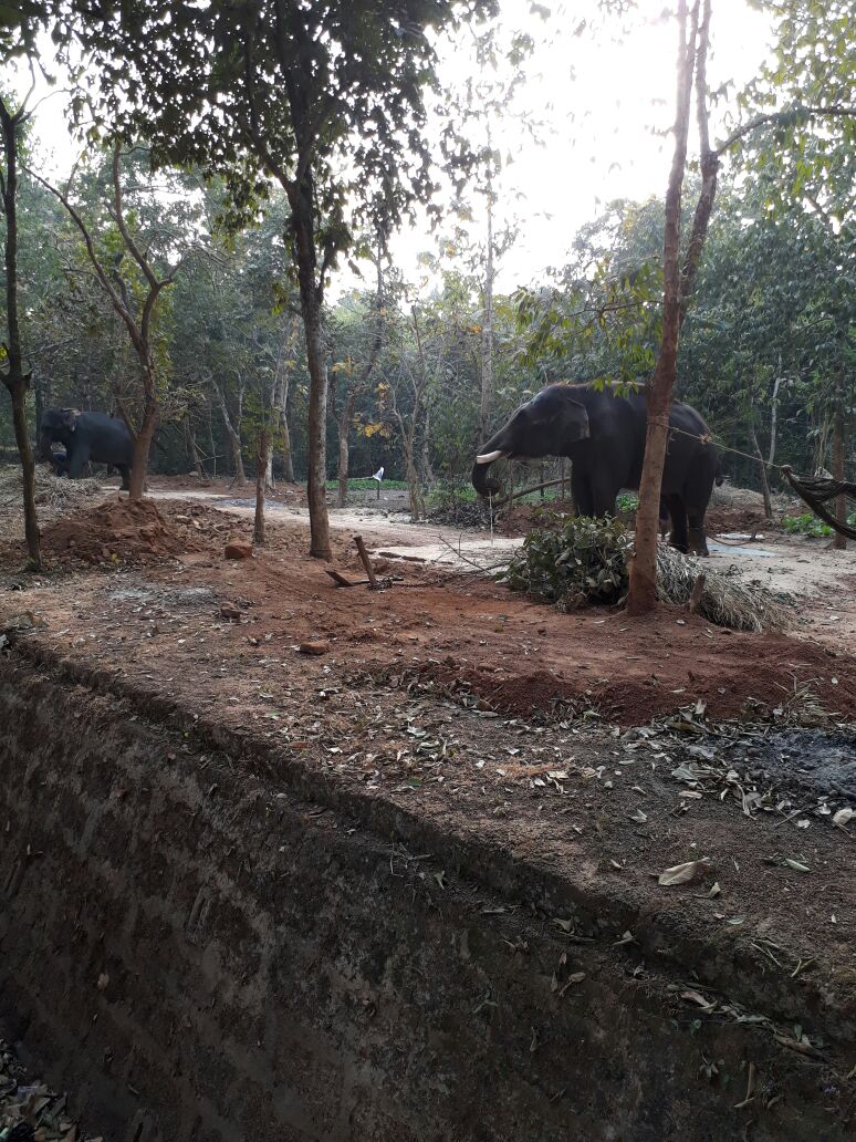pratikbharadwaj's tweet photo. Dilapidated condition of 6 battery carts at #Godibari resort.😔 So much potential #NoMaintenance @CMO_Odisha @odisha_tourism @BBSRBuzz HNY17 https://t.co/uYsU7mHbey
