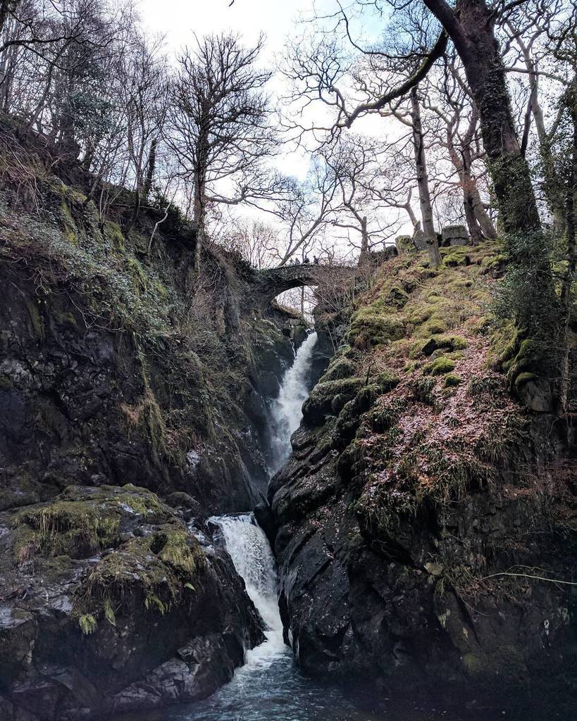 k3nz00's tweet photo. Hanging with the Stapleton Family! @go_with_the_waves @anianimates.c.nameless #lakedistrict #prettyl… https://t.co/58fU7tjDFO https://t.co/fVlsqwnUhD