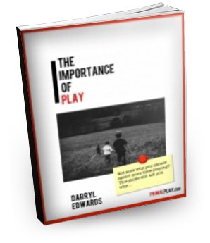 The Importance of Play eBook