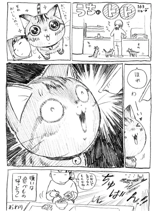 ねこまんが。第163話。今年もあと2時間。鏡餅は飾ったかな?我が父は毎年歳の数餅を食べています。今年は…53個だそうで。 