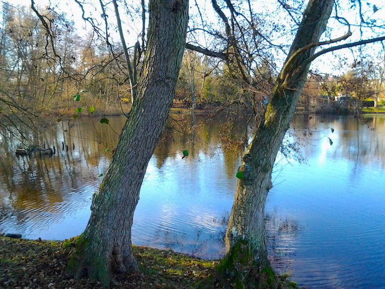 It could have gone so many ways. This just one of the ways it went. Tell me another. Brenda Shaughnessy #poetry #photography