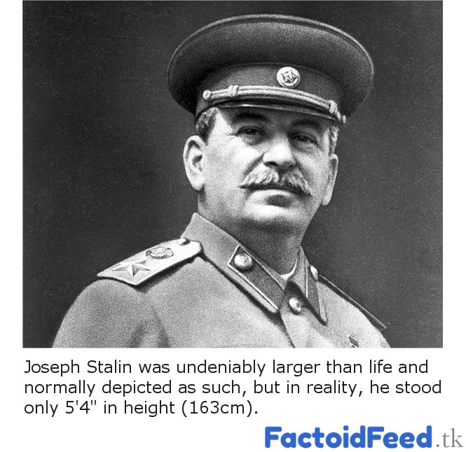 Joseph Stalin's Stature - factoidfeed.tk/history/joseph… #History #fact #trivia