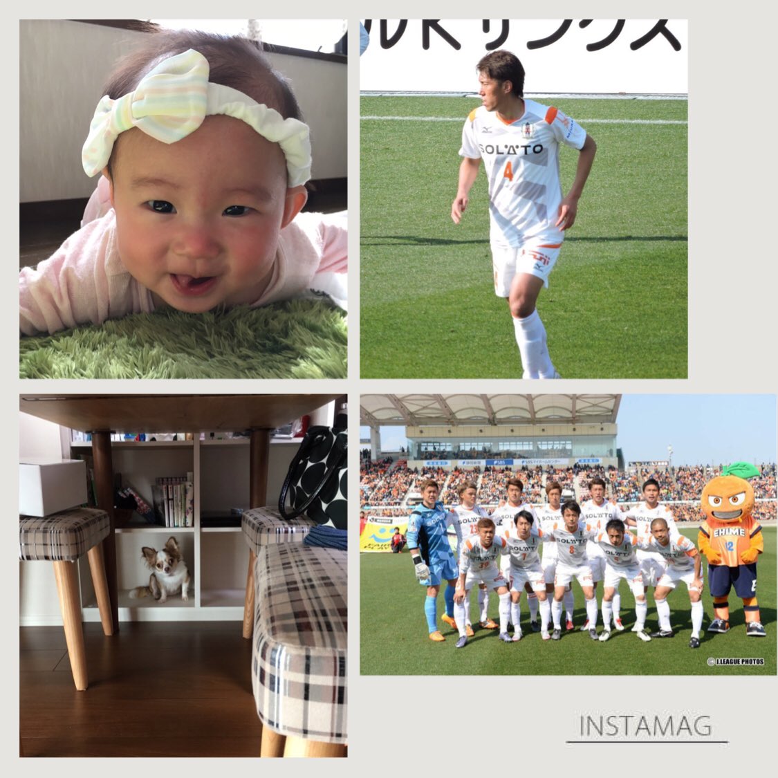 西岡大輝 (Daikirara) Twitter