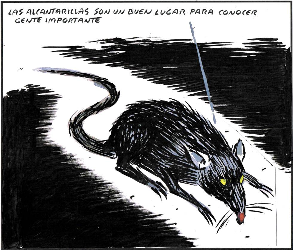 sergio_fajardo's tweet photo. 2. Los corruptos necesitan la oscuridad para actuar, por eso para enfrentarlos: transparencia. Las cañerías donde se esconden están repletas https://t.co/f82mbtHLJ3