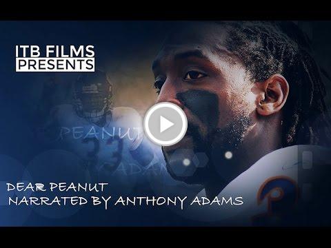 chicago___bears's tweet photo. Spice pays tribute to "Peanut" Tillman https://t.co/Cbx249TMOa #bears #nfl #chicago #fantasy #sport https://t.co/uMsqkoxKvS