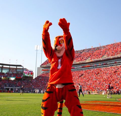 ClemsonBuzzz's tweet photo. Get up for #GameDay for @ClemsonFB - C-L-E-M in cadence count sounds good in Arizona -#AllIn #Clemson #BeatOhioState https://t.co/MftiwCBxpY