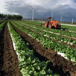 Photo by Agro Tropical (@agrotropicalpr)
