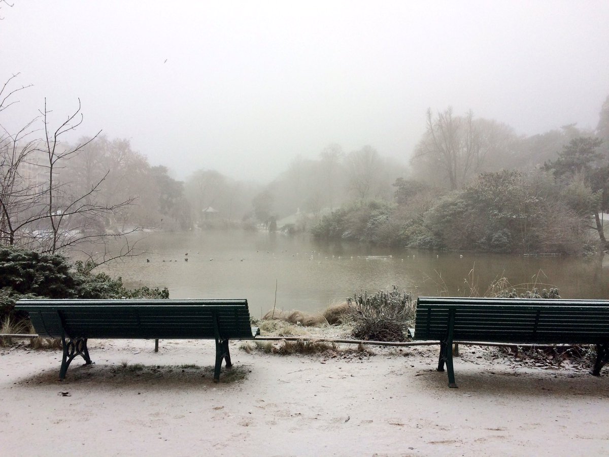 Myriam Thibaut tweet media