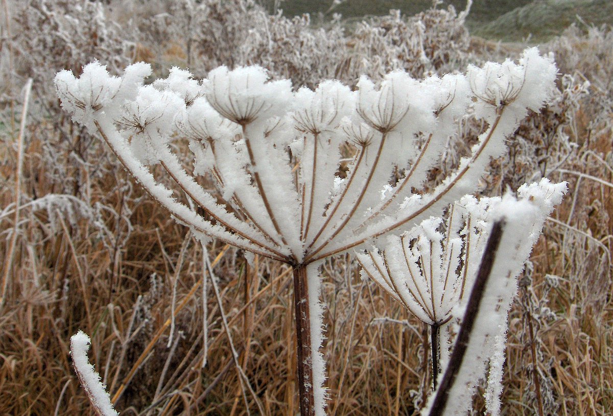 WustMarcel's tweet photo. Ook de #winter is natuurlijk mooi. https://t.co/Po4iW99cCP