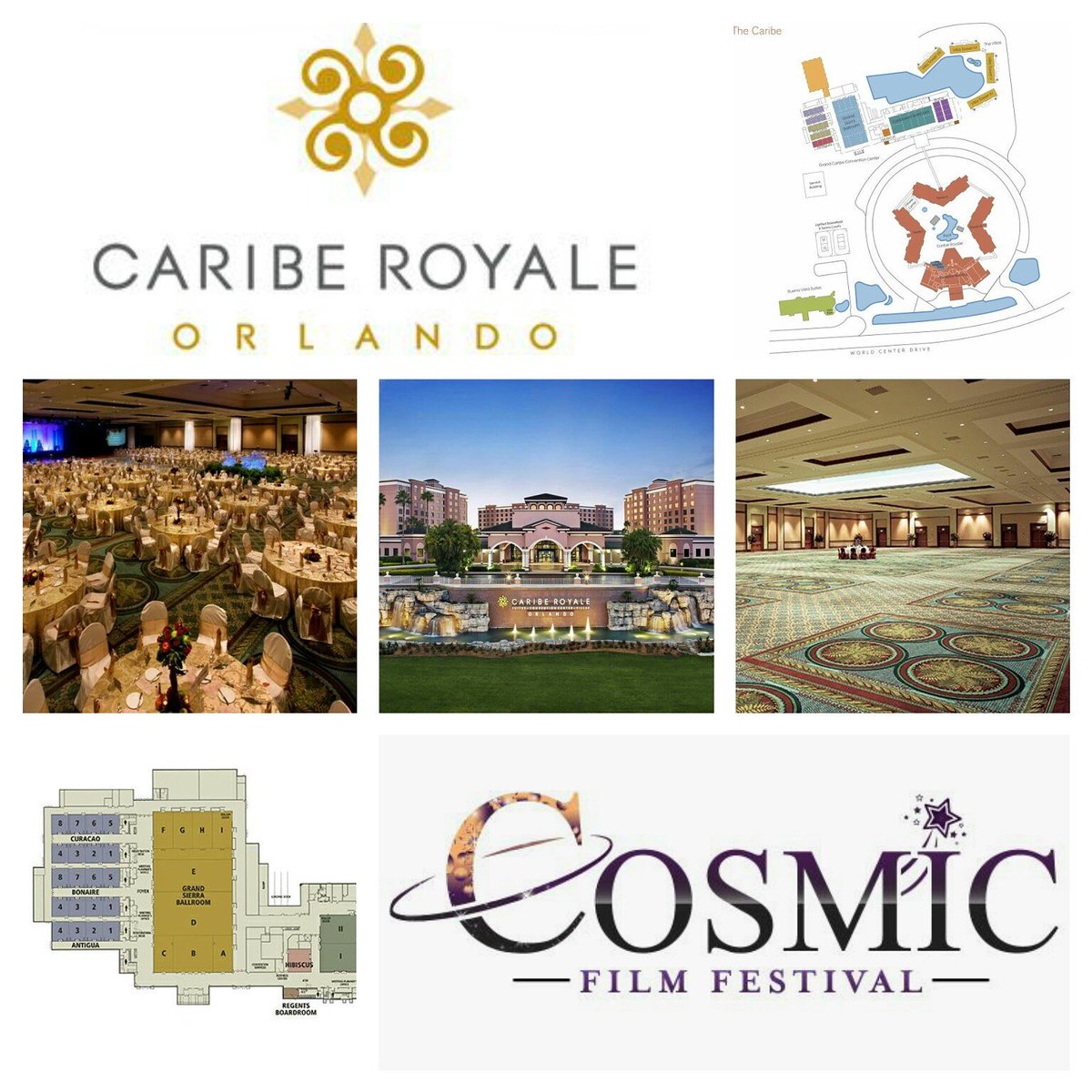 Sally Sanford (SallySanford1) Twitter