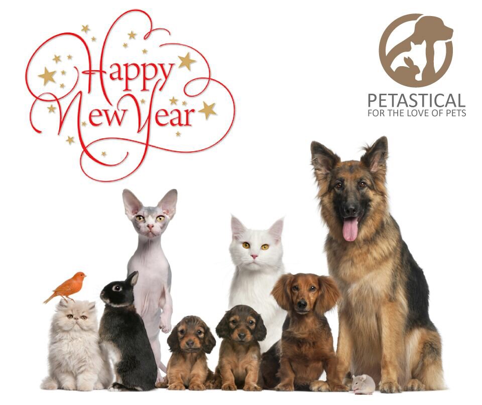 PetasticalPets's tweet photo. Wishing all our existing customers, followers and new customers a healthy and happy 2017 from us all at Petastical pets #petastical #newyear https://t.co/2mFEajZlnQ