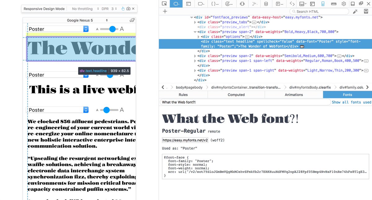 Web Font inspection in Firefox DevTools. A dedicated panel allows you to view what a custom set of text looks like using the typography.