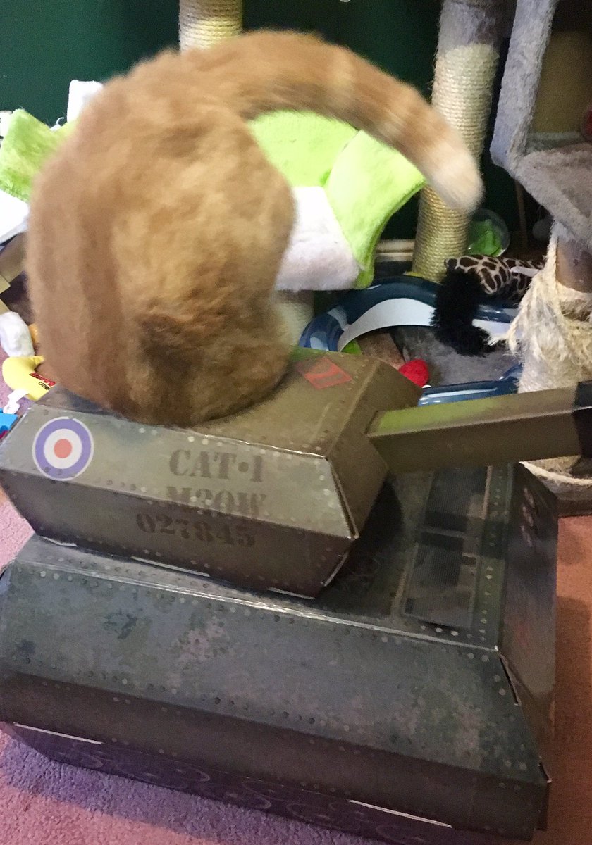 I like my new <a href="/suckuk/">SUCK UK</a> tank. Gonna go hunting.