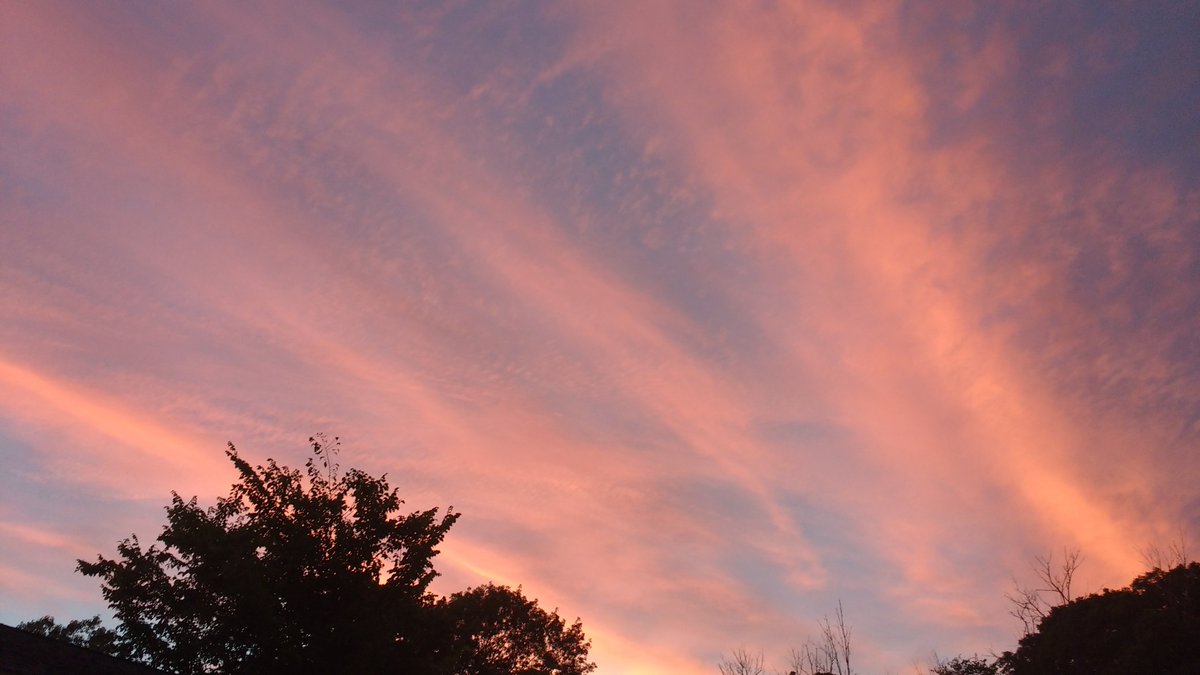 extravibes's tweet image. 