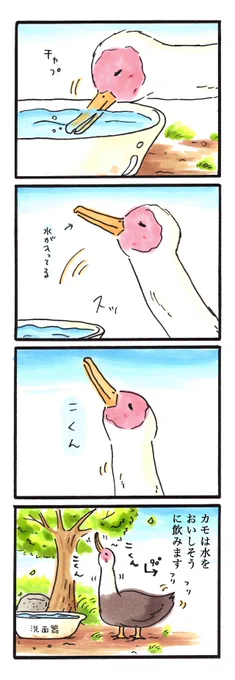 あけましておめでとうございます。
去年は重版がかからず落ち込んでた所で、熊野に行き、帰ってきてから幾つかお仕事を頂き、一人で描いてるつもりでも、誰かが見てくれてるものなんだと実感する年でした。
今年は丁度、鳥のエッセイ漫画も描くので楽しみです。頑張ります。よろしくお願い致します。 
