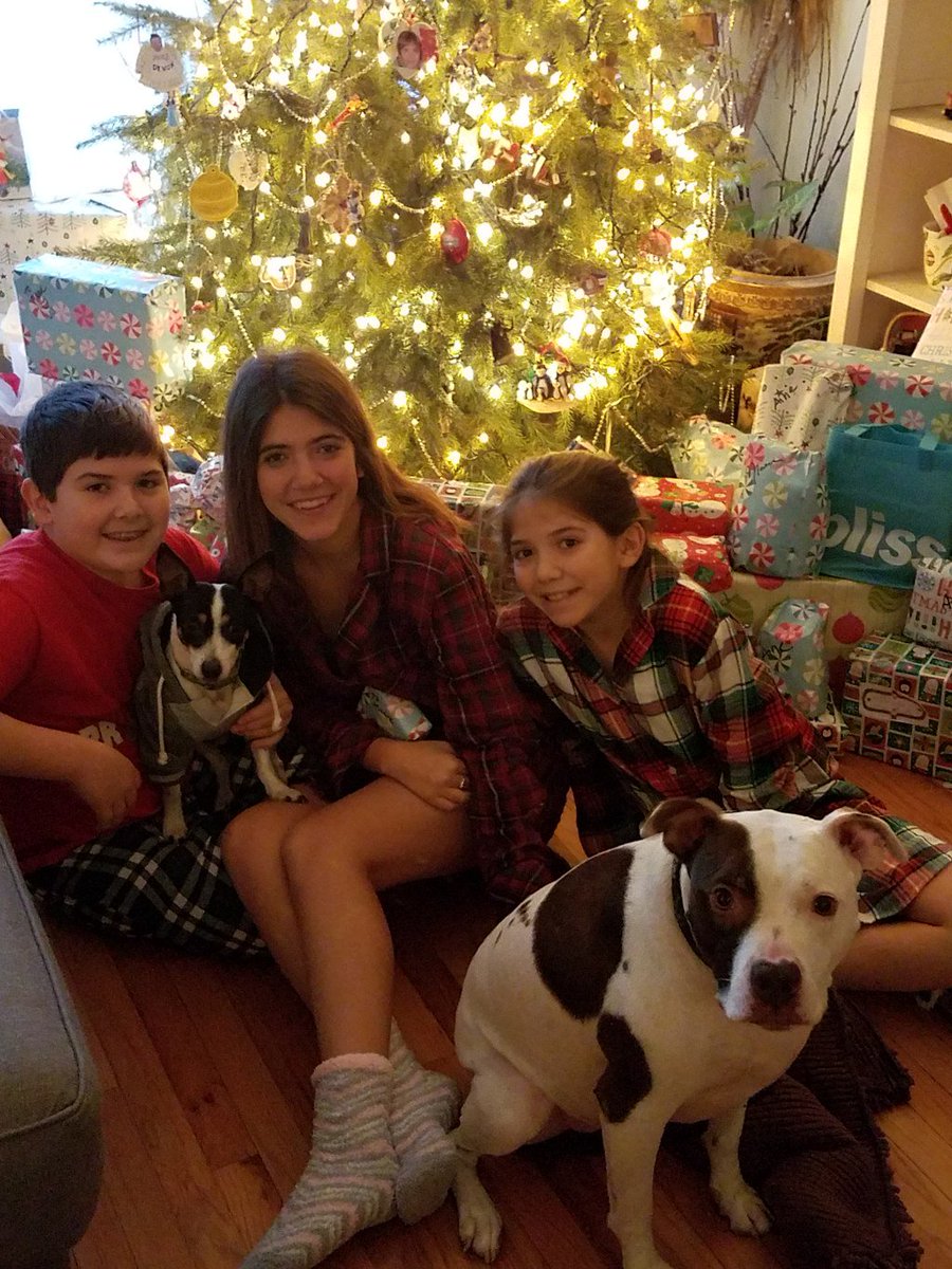 FireflyLLDesign's tweet image. Happy       Holidays! fireflylandscapelighting.wordpress.com/2017/01/01/hap…