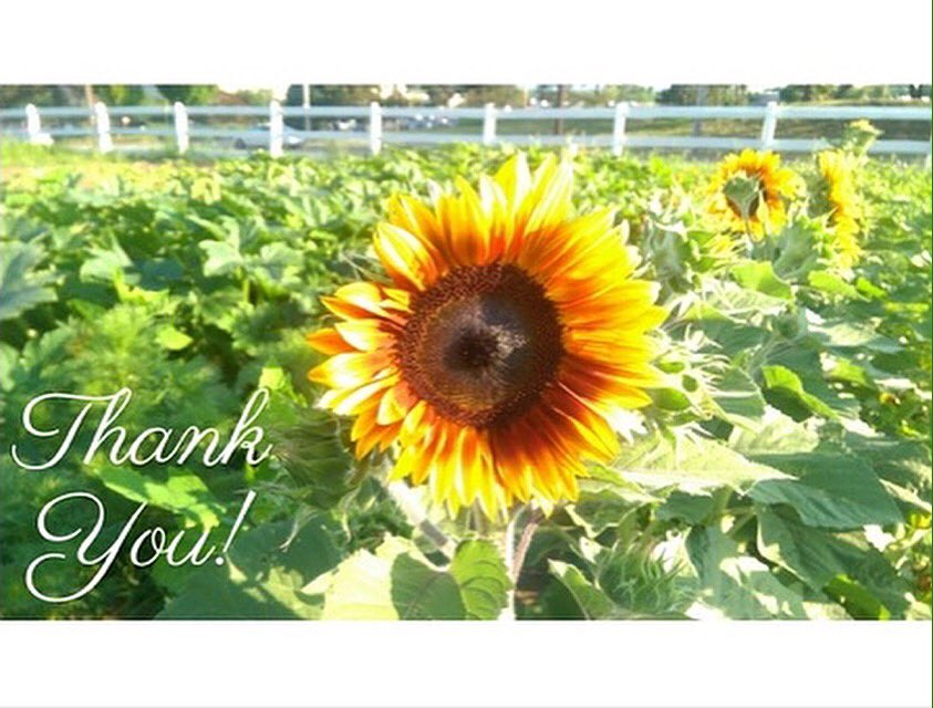 XavierFarm's tweet photo. Thank You all for a successful 2016!! We look forward to growing into the New Year🌻 #XavierUrbanFarm #NewYear https://t.co/Cmw4KKJRnA